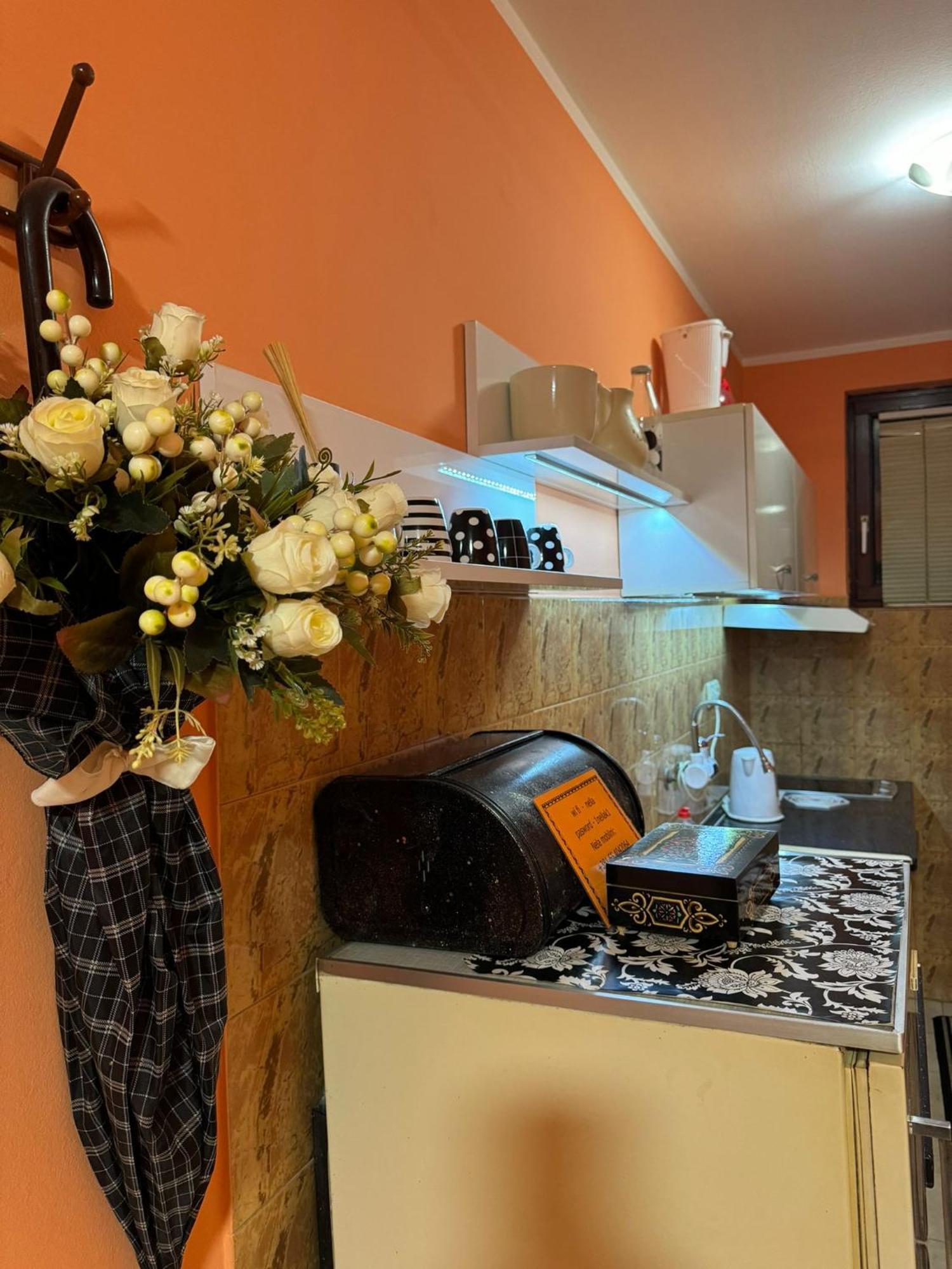 Nela Apartmani Nis Luaran gambar
