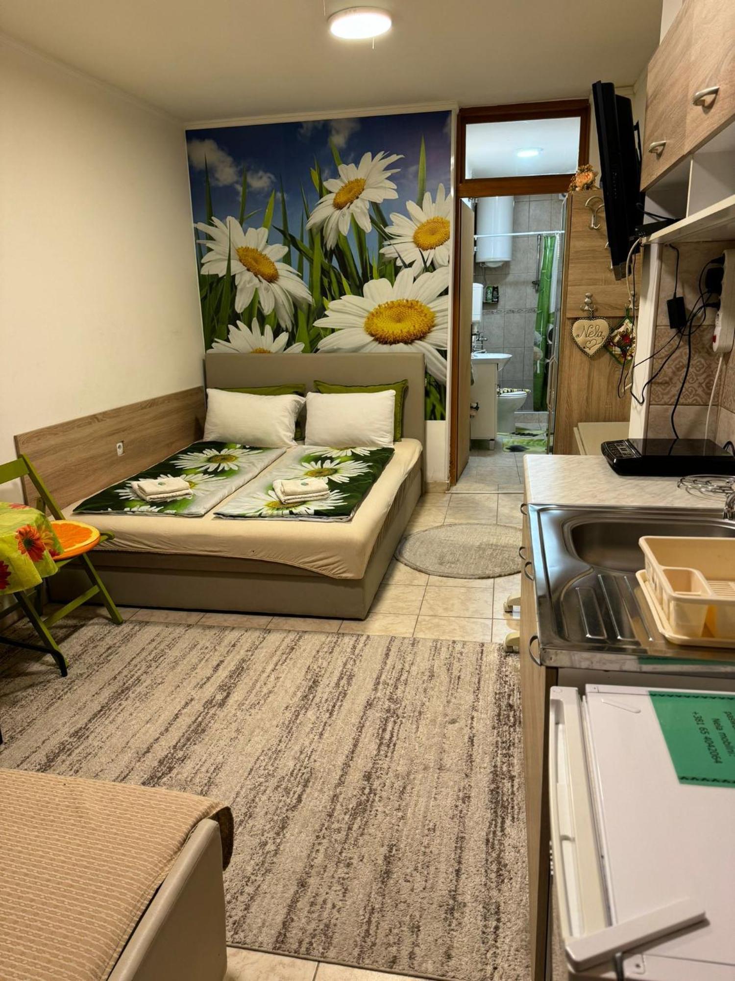 Nela Apartmani Nis Luaran gambar