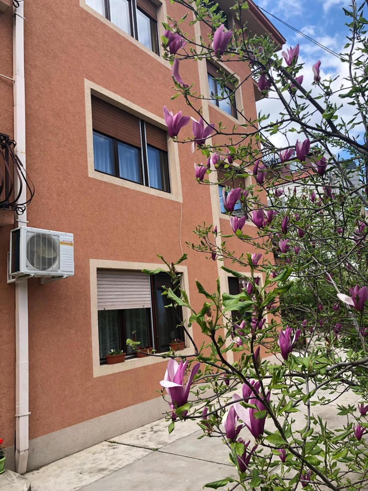 Nela Apartmani Nis Luaran gambar